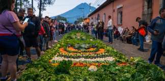Alfombra hecha con verduras